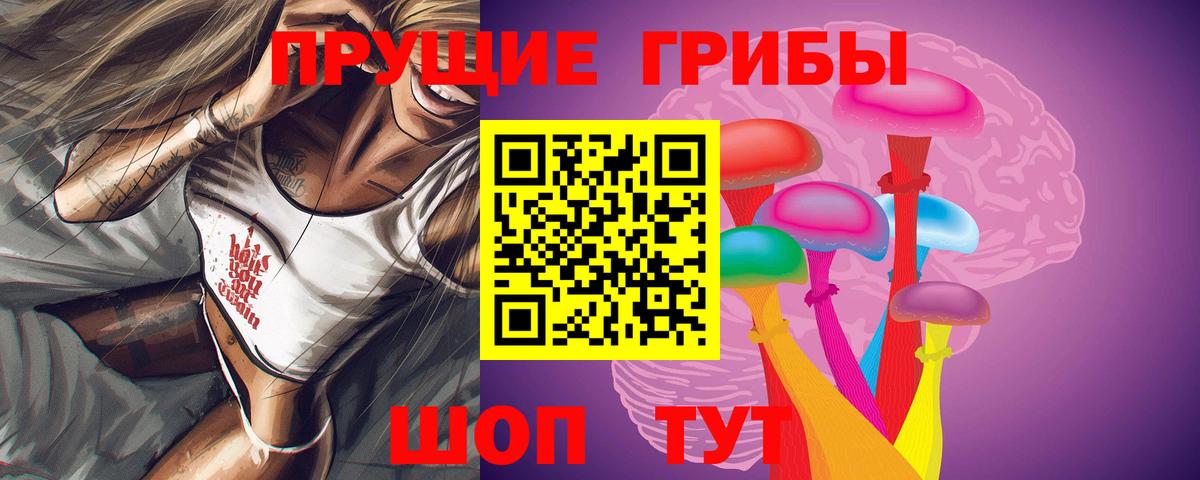 Коркино  купить наркотик  Вход с VPN  Псилоцибиновые грибы мицелий 